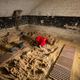 Illustration for article titled 200 Skeletons Have Been Discovered Beneath A Supermarket In Paris